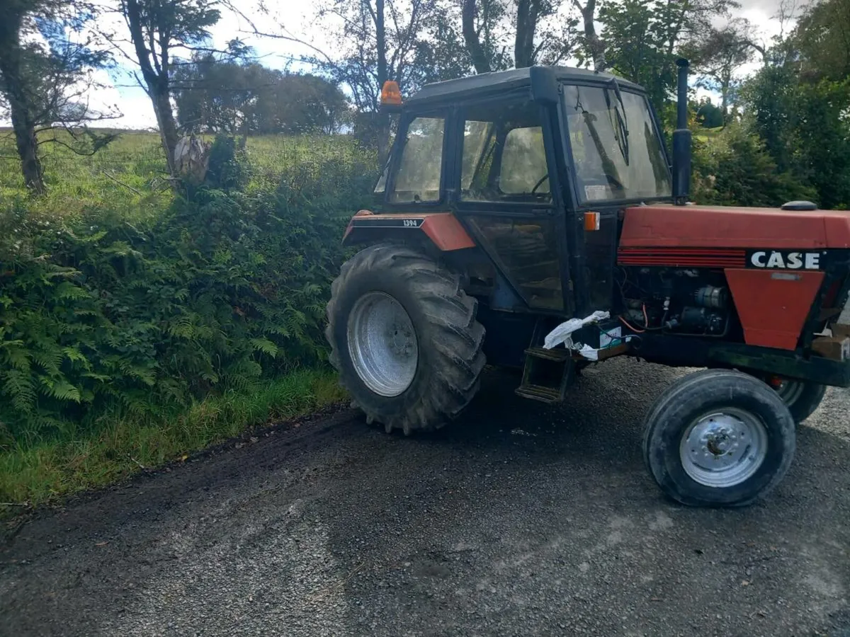 Case 1394 + ford 555 - Image 2