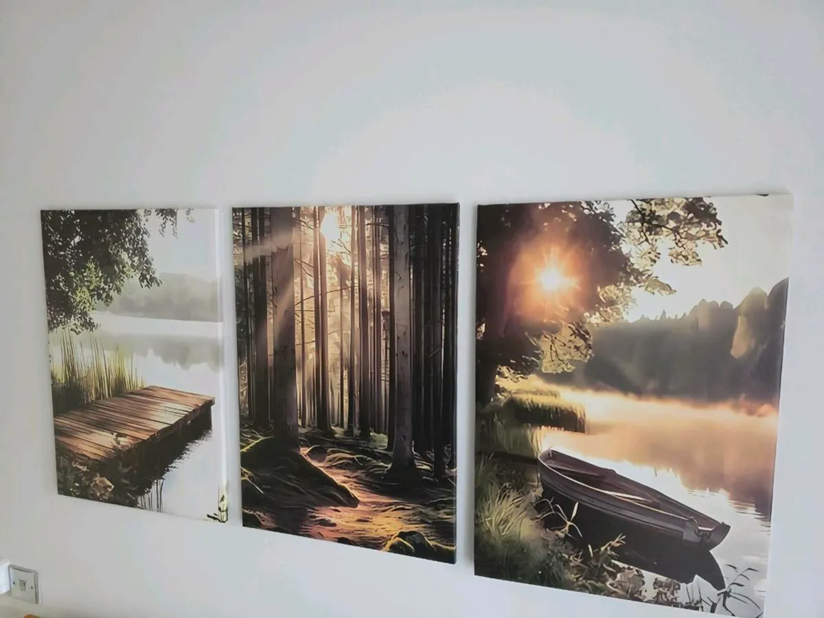 3 canvas 45x65cm - Image 3