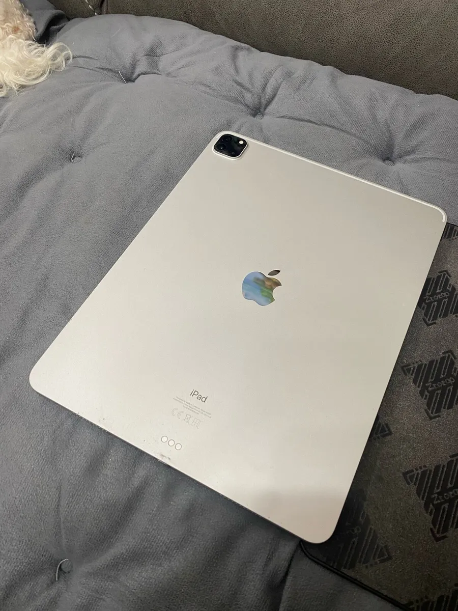 iPad Pro 5th Gen 12.9” 256Gb w/pencil and case - Image 4