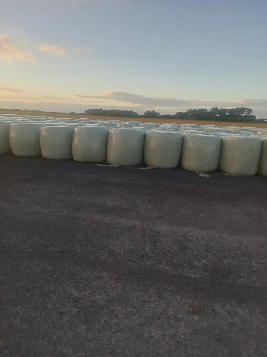 Silage/Haylage for Sale - Image 1