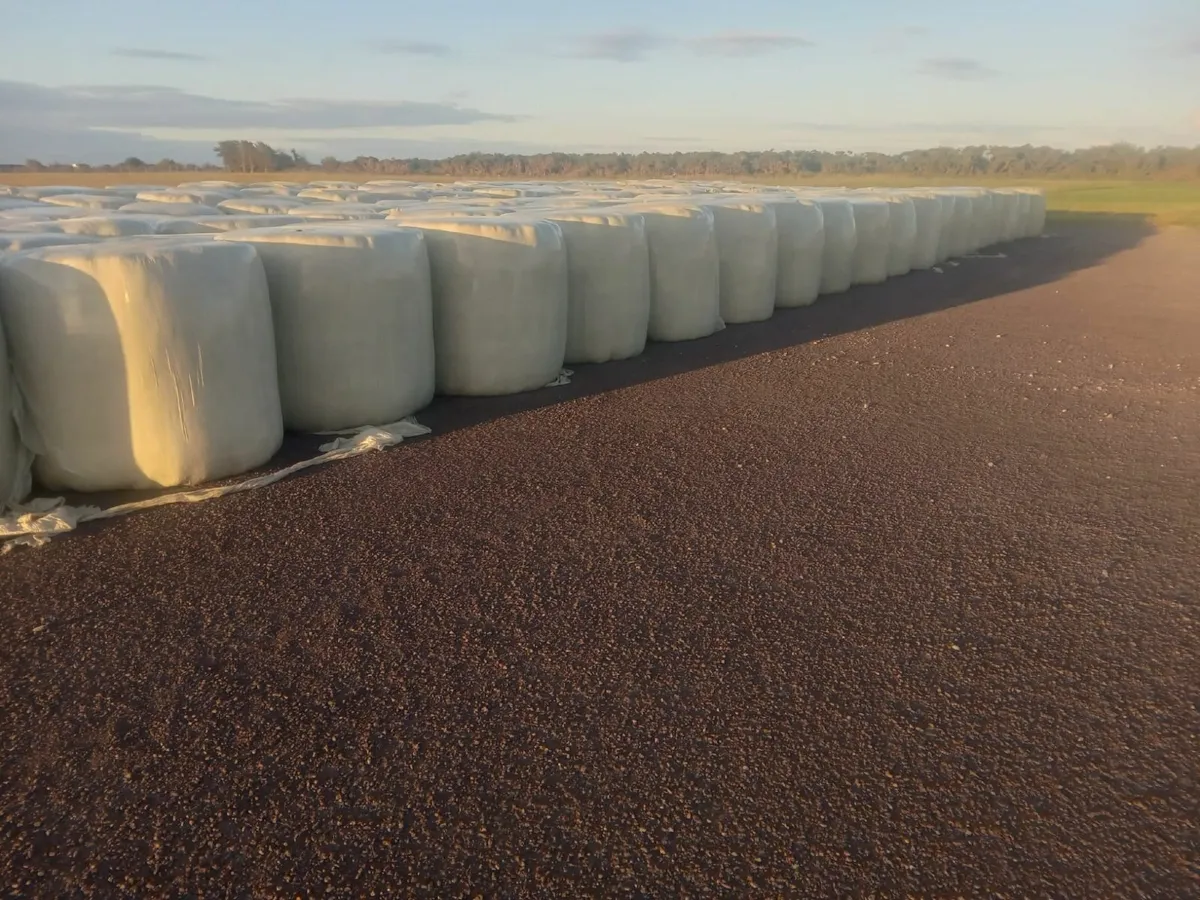 Silage/Haylage for Sale - Image 2