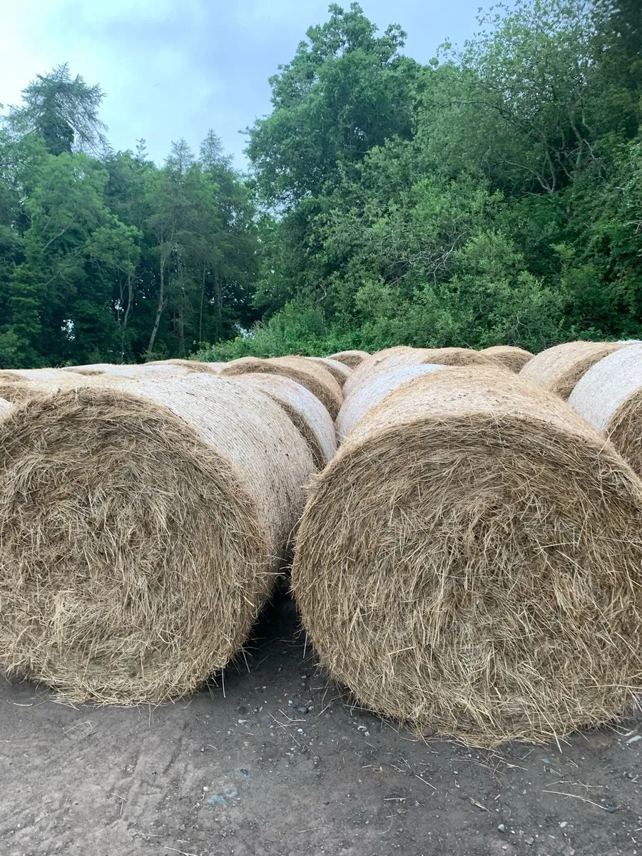 Round bales of haylage and hay - Image 1