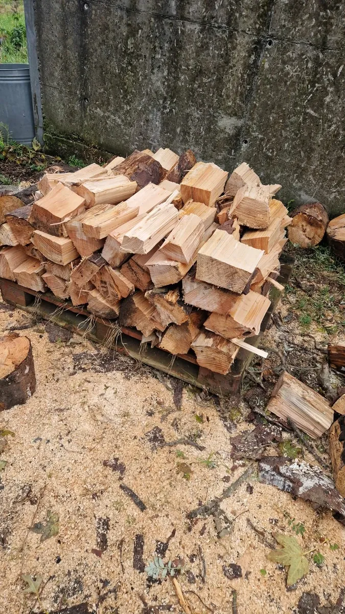 Timber for sale - Image 2
