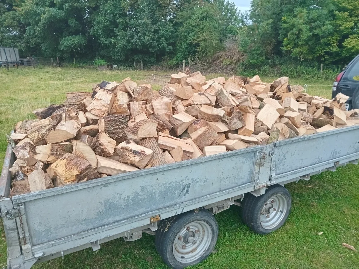 Firewood - Image 1