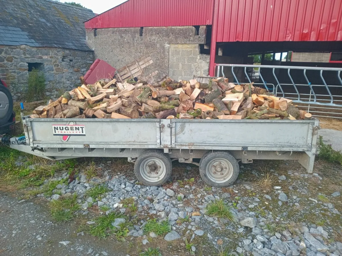 Firewood - Image 2