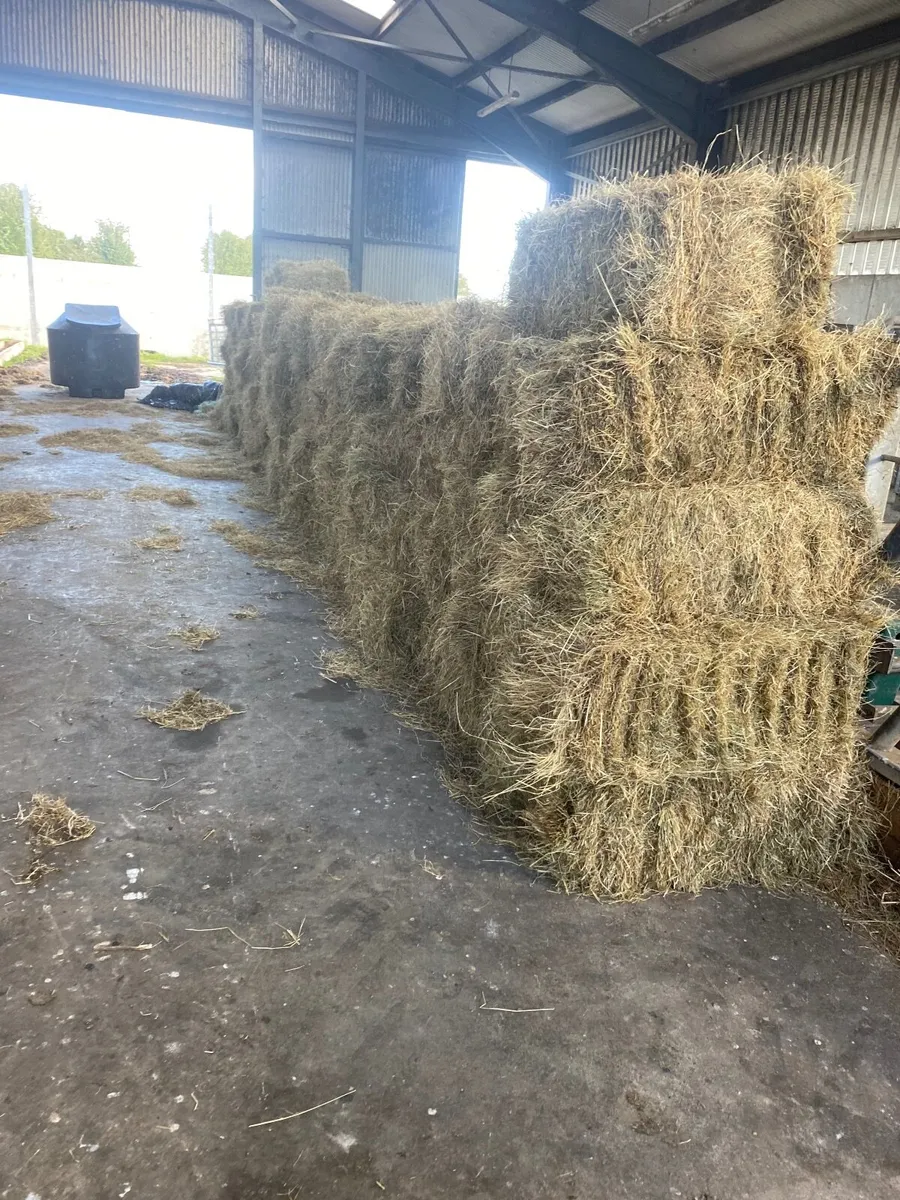 Square bales of hay - Image 3