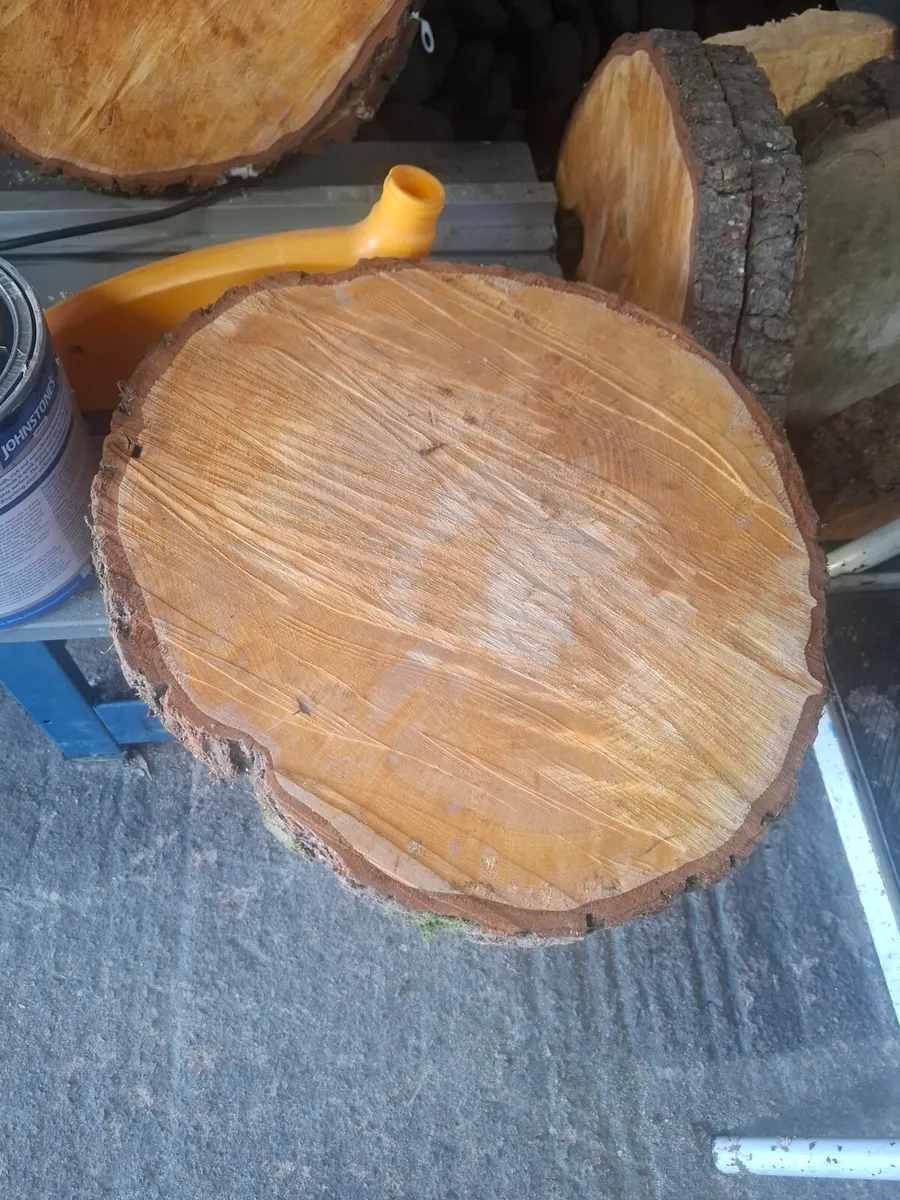 Wood slices - Image 1