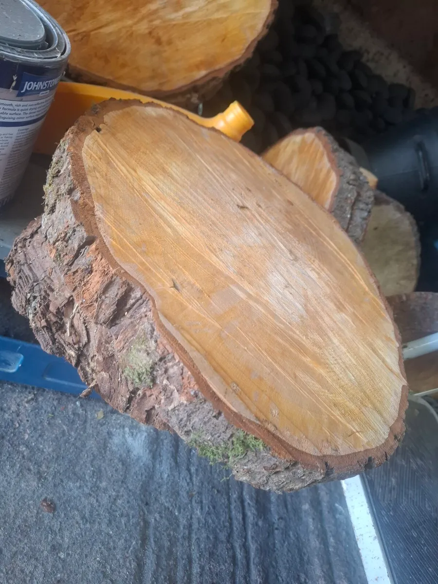 Wood slices - Image 2
