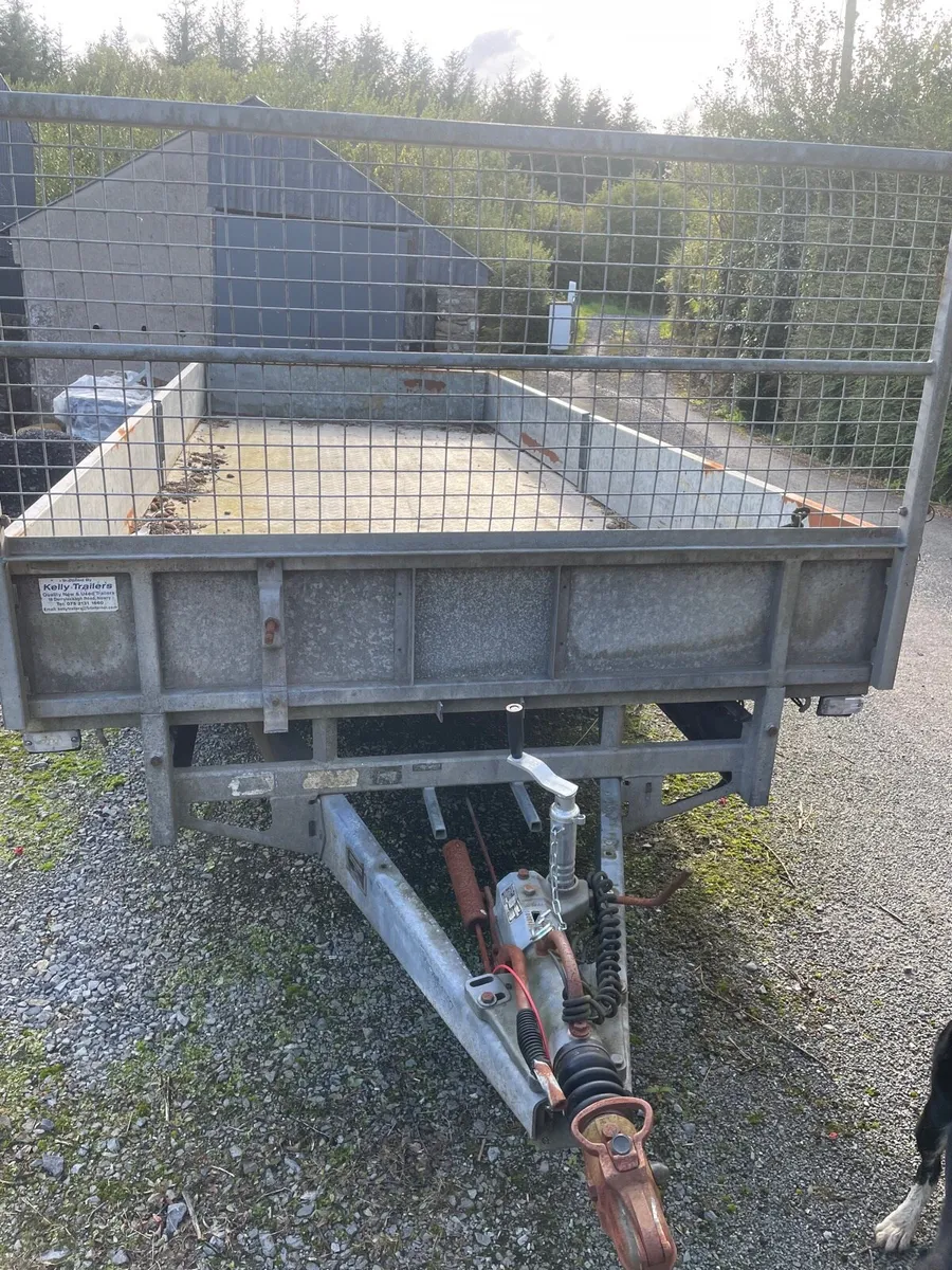 Ifor Williams - Image 2