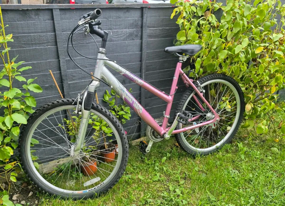 Adults bike brakes and gears working perfect recen - Image 1