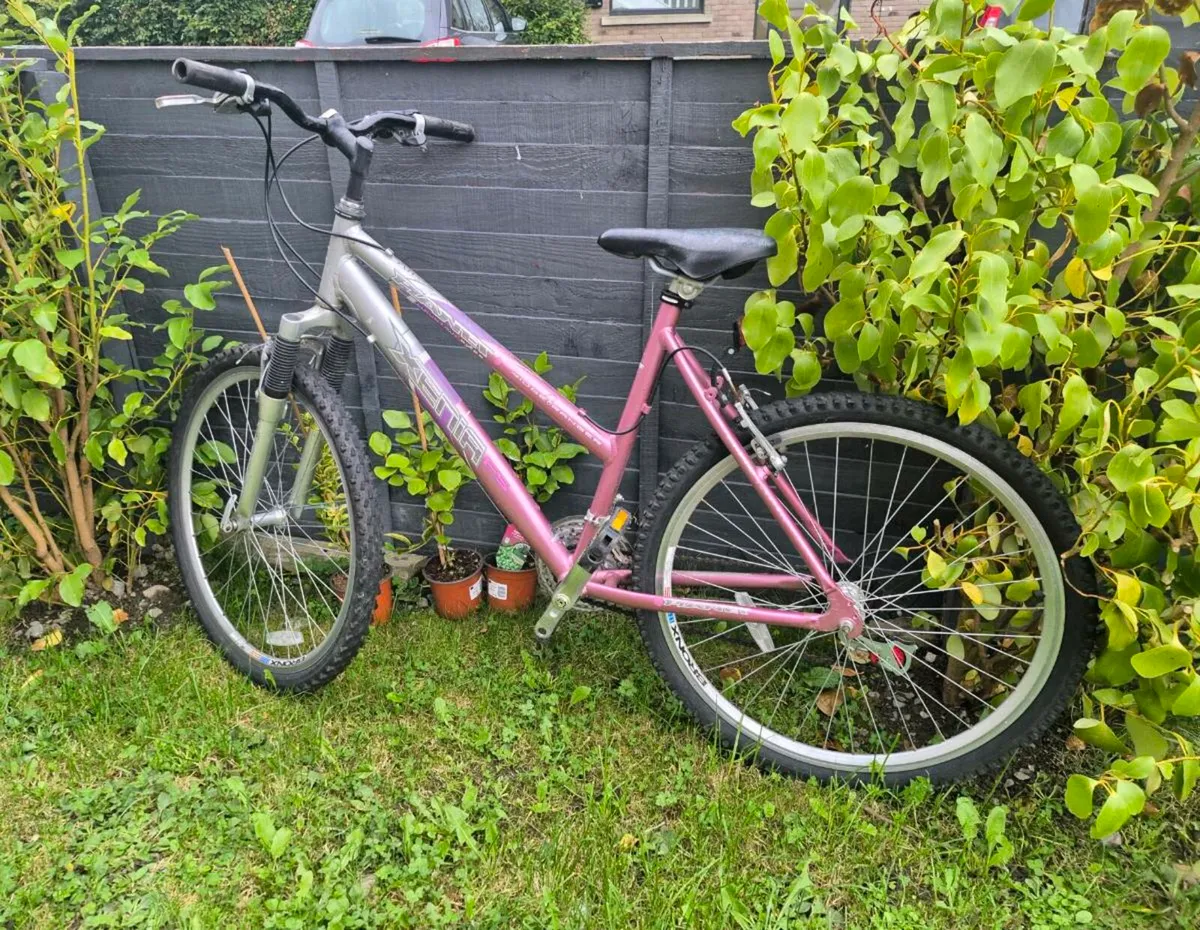 Adults bike brakes and gears working perfect recen - Image 2