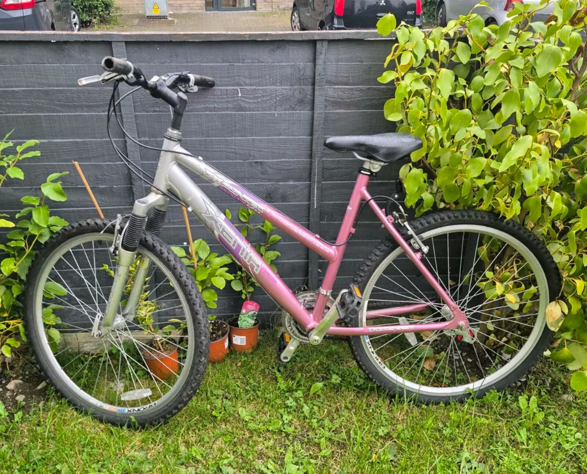 Adults bike brakes and gears working perfect recen - Image 3