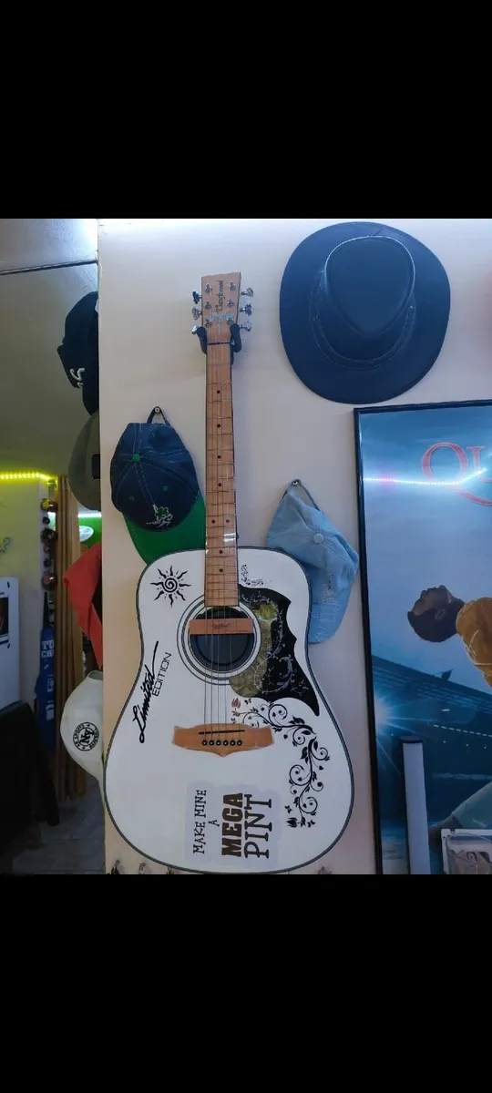 Tanglewood seagul acoustic electric Guitar.