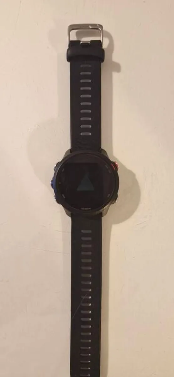 Garmin Forerunner 245 music - Image 1