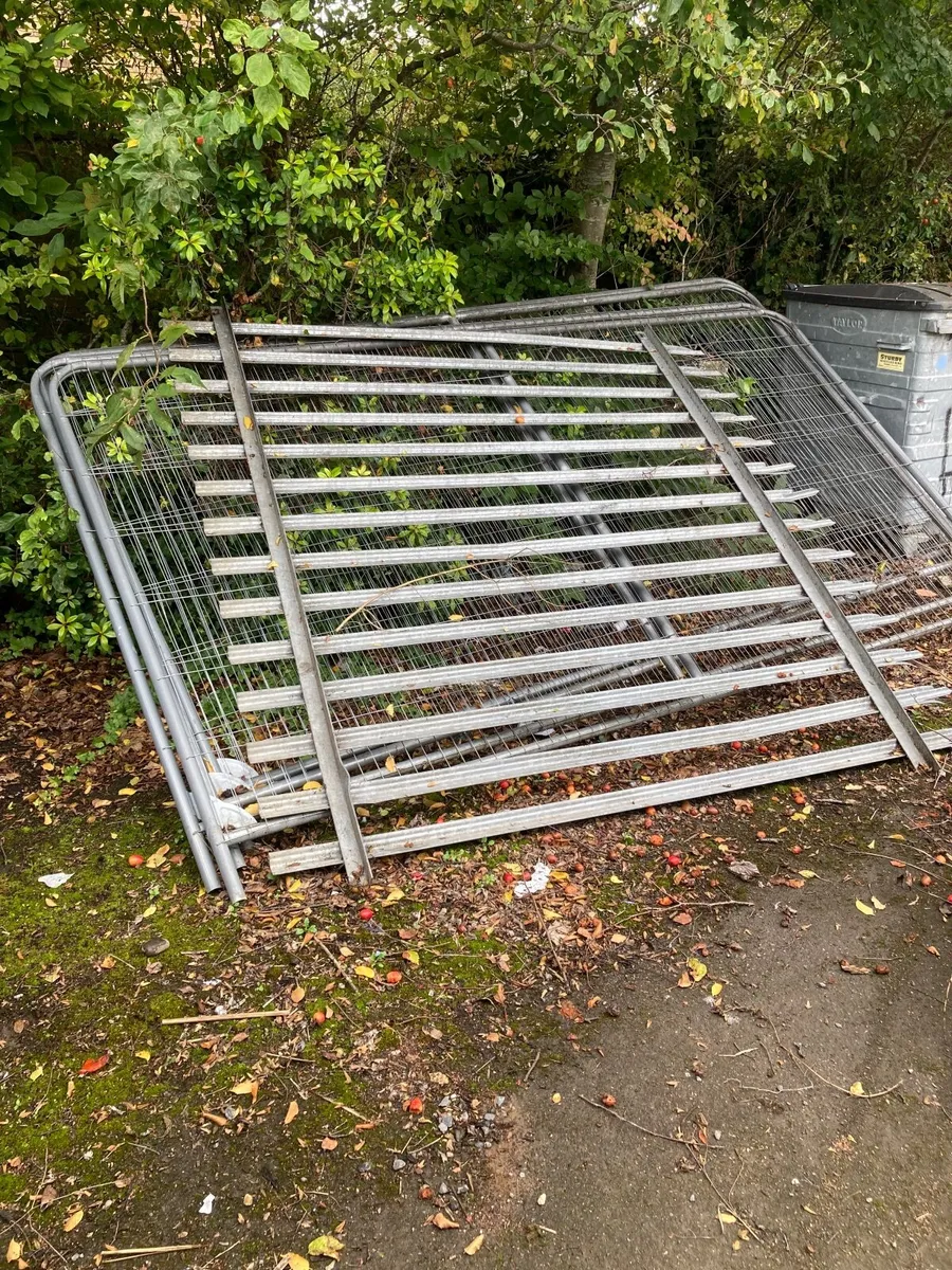 Fencing panels for building job - Image 4