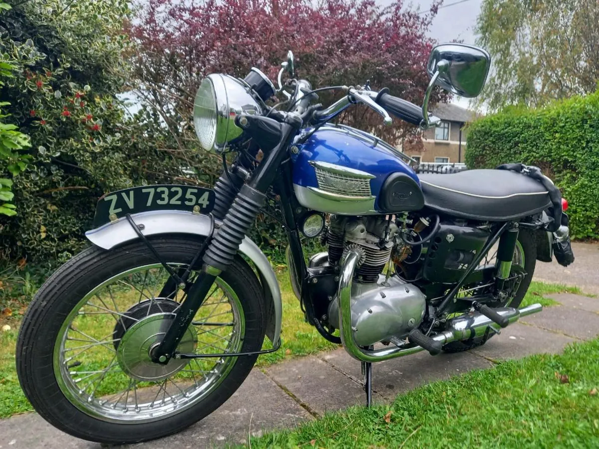 Triumph 3ta - Image 2