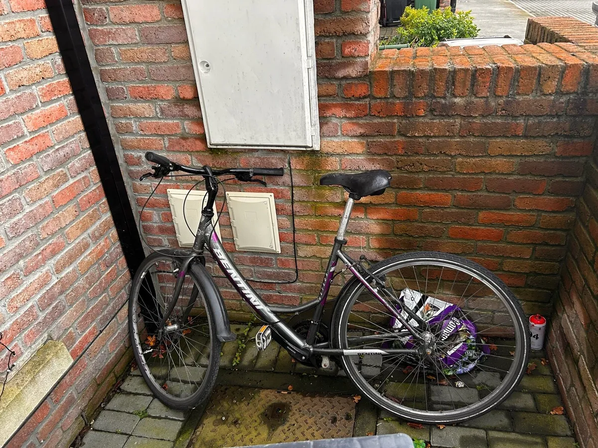 Push bike - Image 1