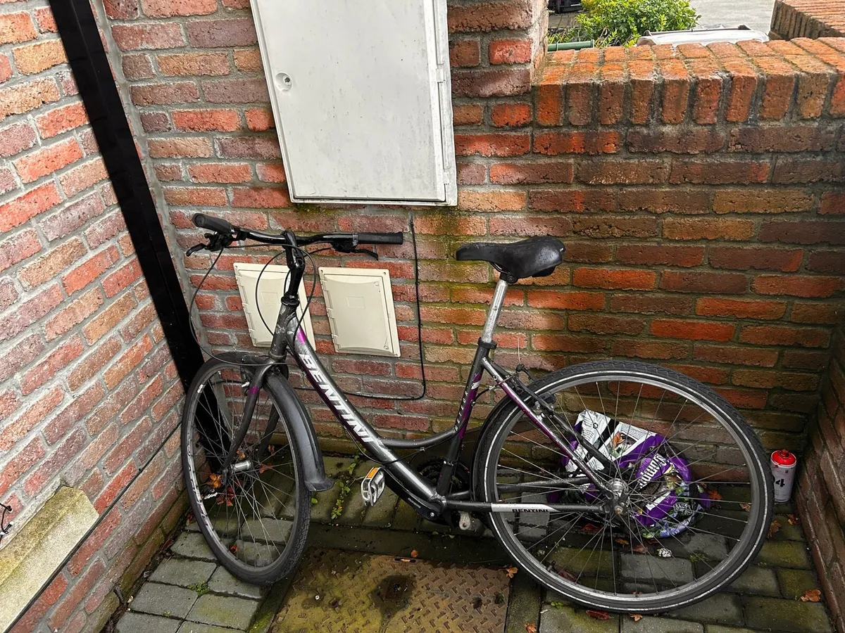 Push bike - Image 2