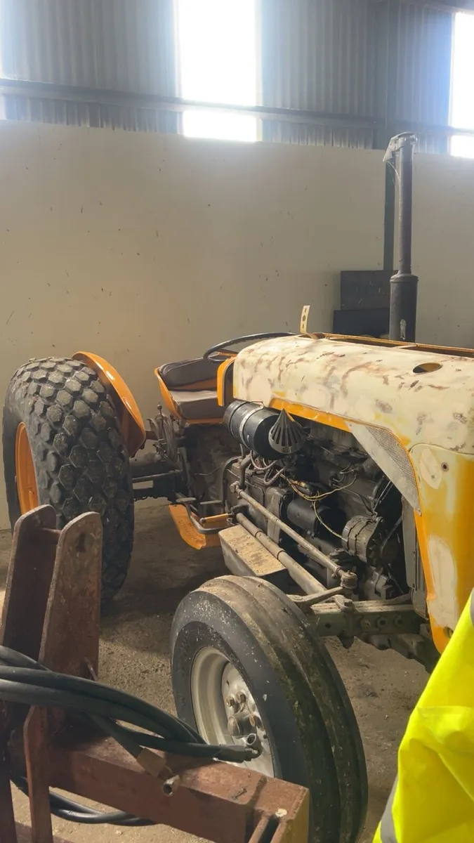 Massey Ferguson industrial yellow 35 / dexta - Image 2