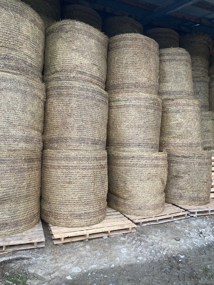 Round bales of good quality hay