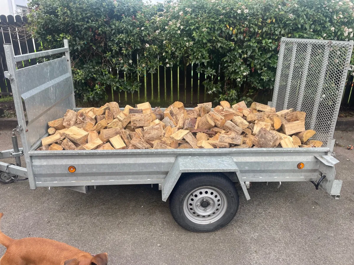 Timber Firewood - Image 2