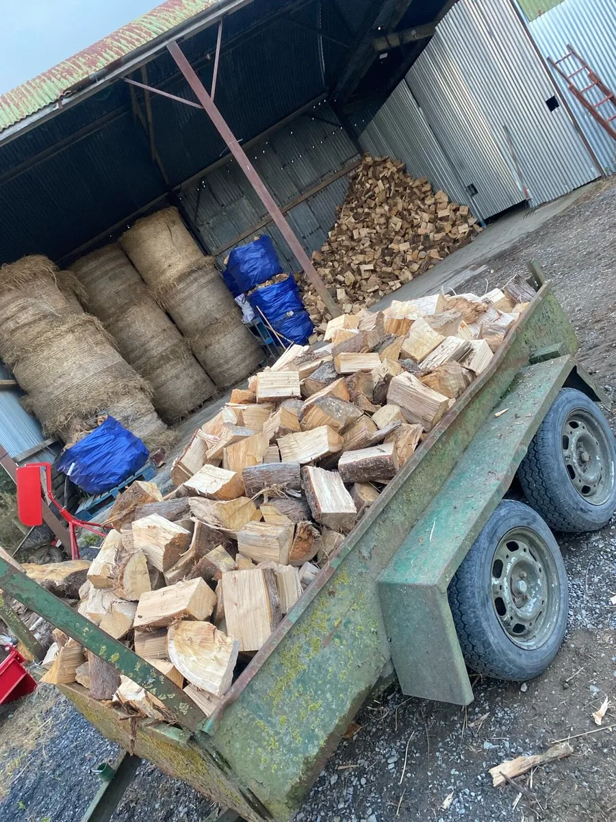 Firewood - Image 2