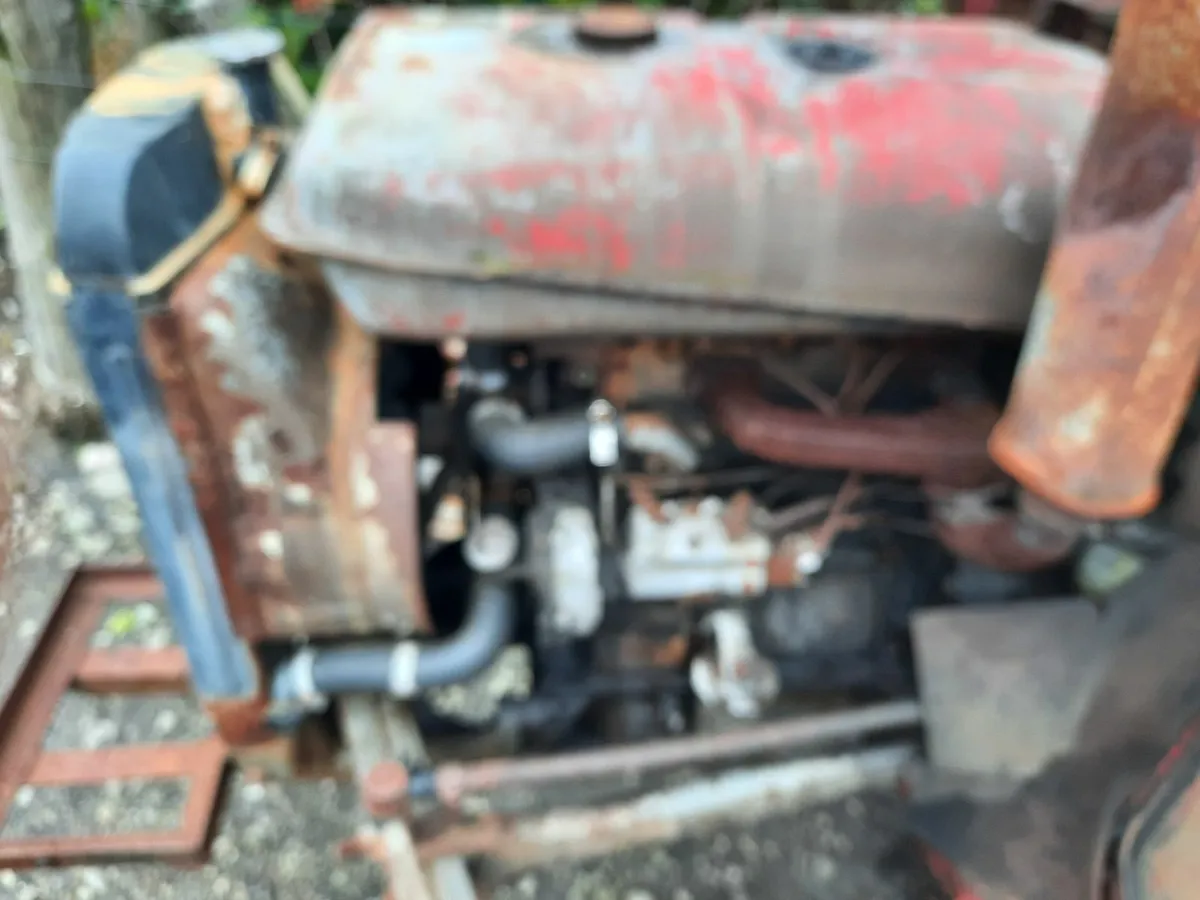 Mf 135 - Image 3