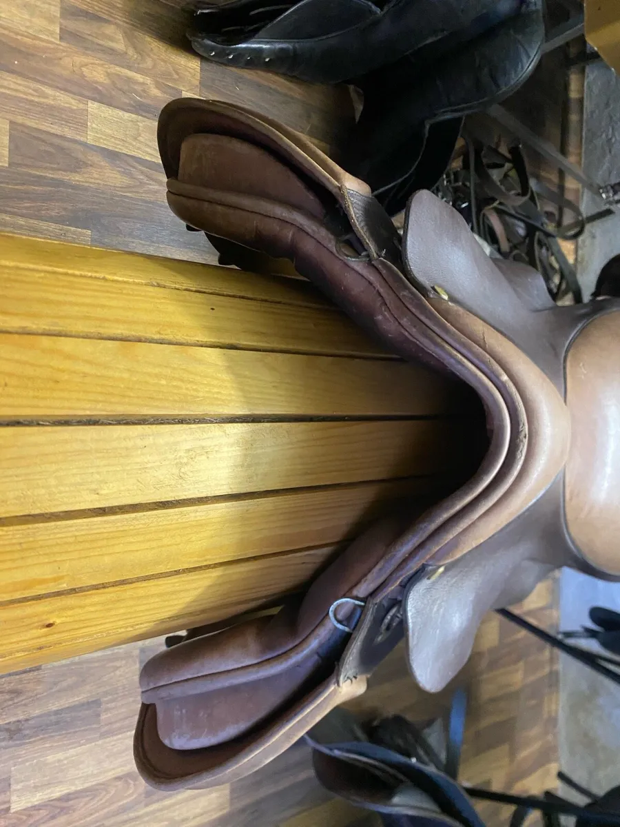 16” ideal cob model for wide low withers - Image 2