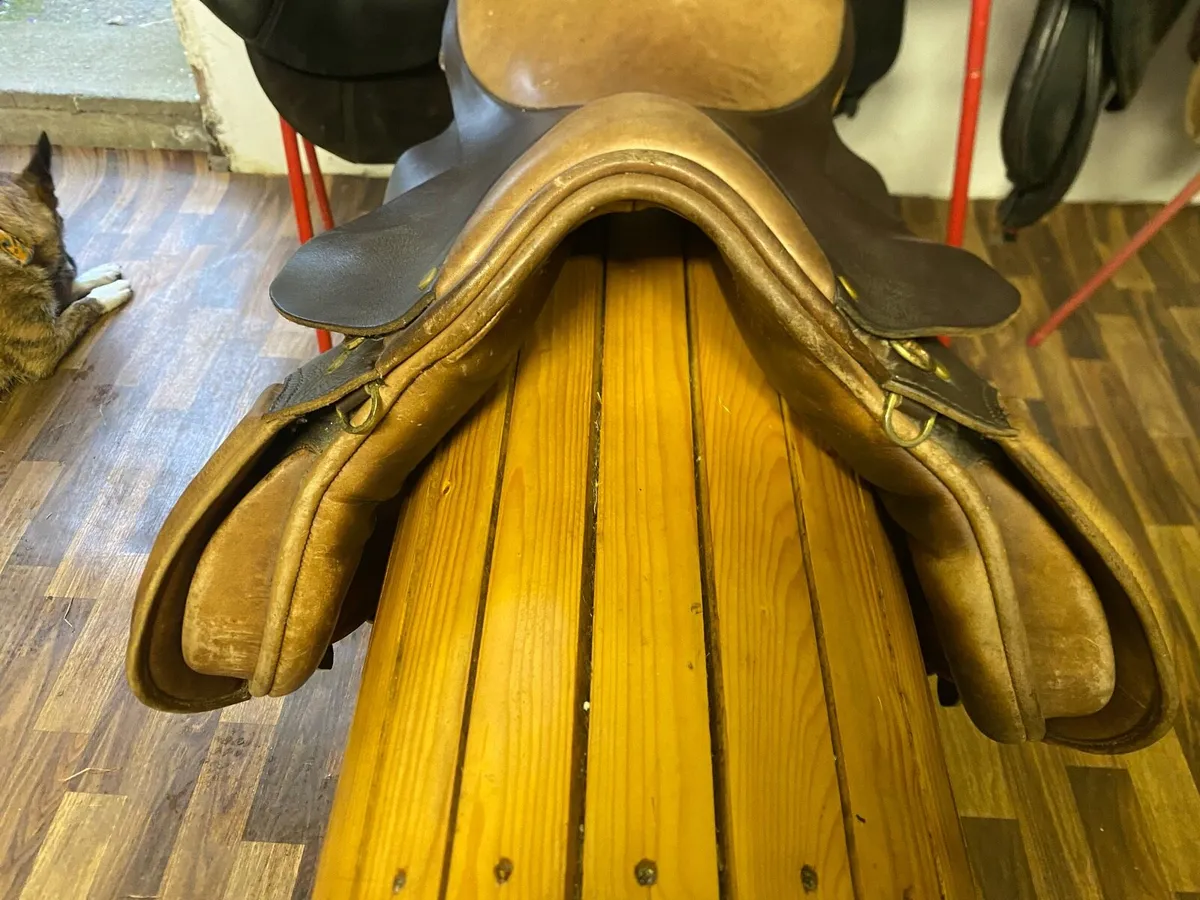 16” ideal cob model for wide low withers - Image 3