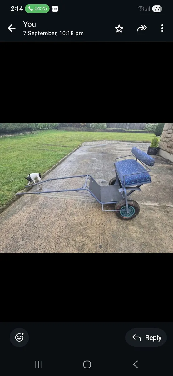 Shetland road cart