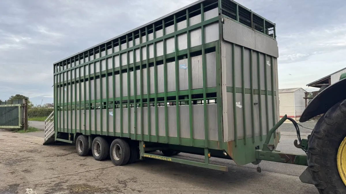 MCM Livestock Trailer - Image 4