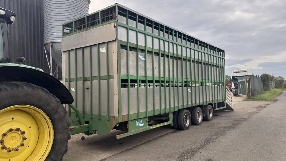 MCM Livestock Trailer - Image 2