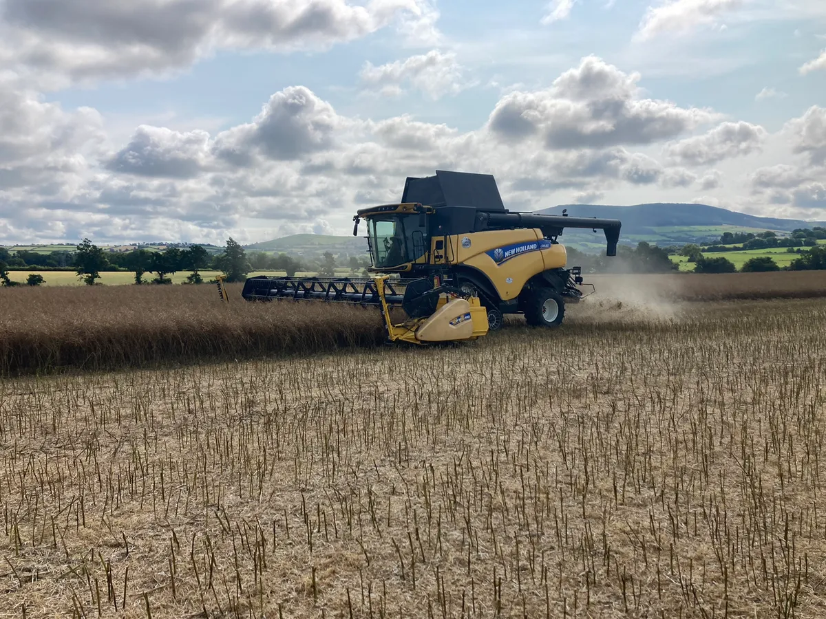 New Holland CR8.80 ******1000/770 hrs*** - Image 2