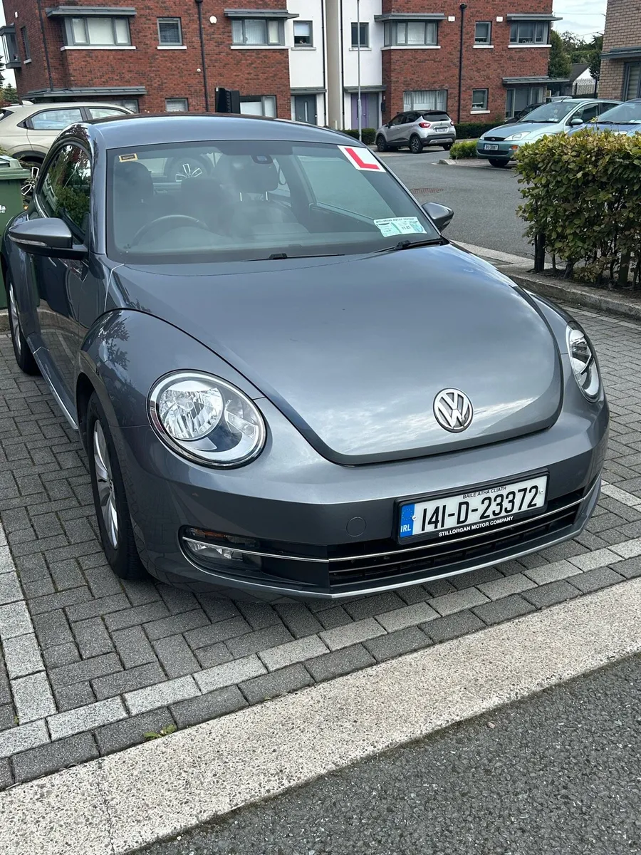 VW Beetle - Image 2