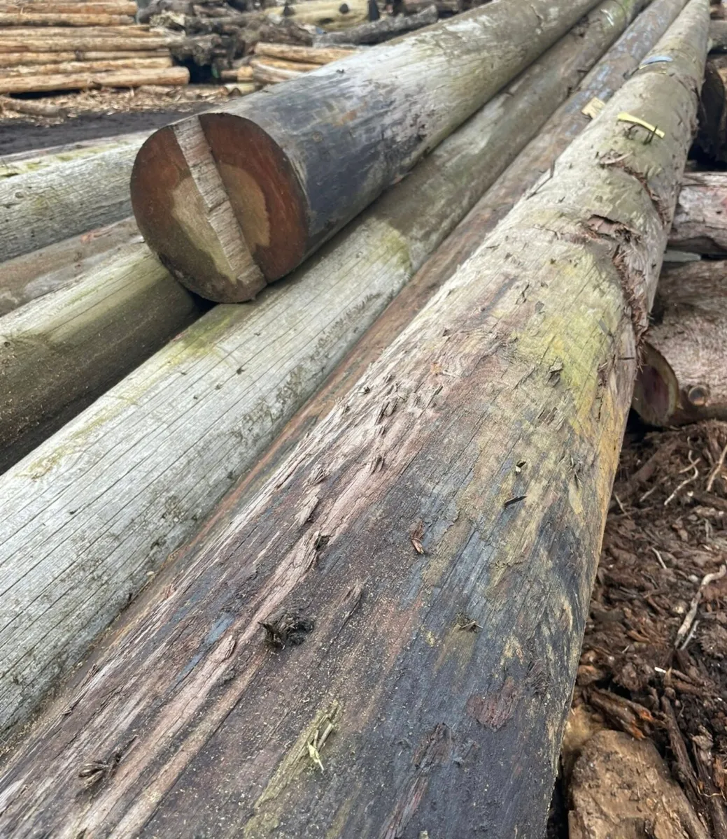 Wanted bt/esb/telegraph poles