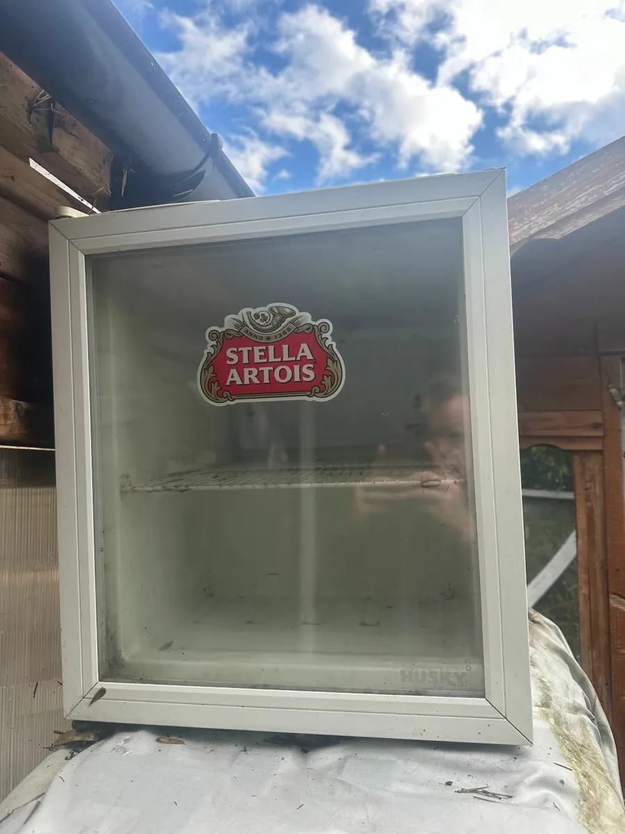Beer or/and Wine Fridge for outdoor area - Image 1
