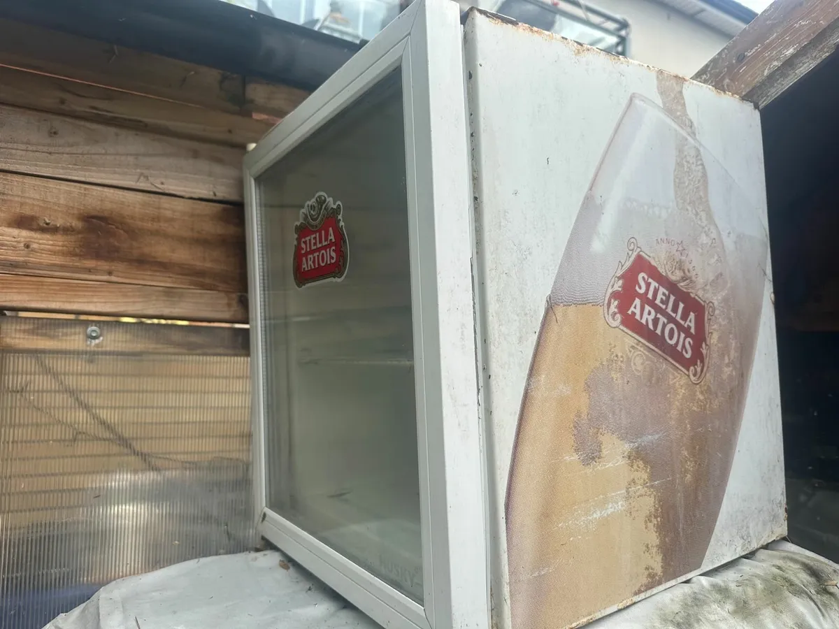 Beer or/and Wine Fridge for outdoor area - Image 2