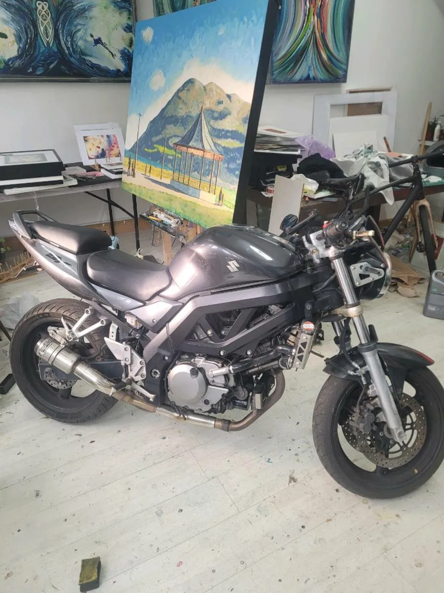 Suzuki SV650 2008 - Image 1