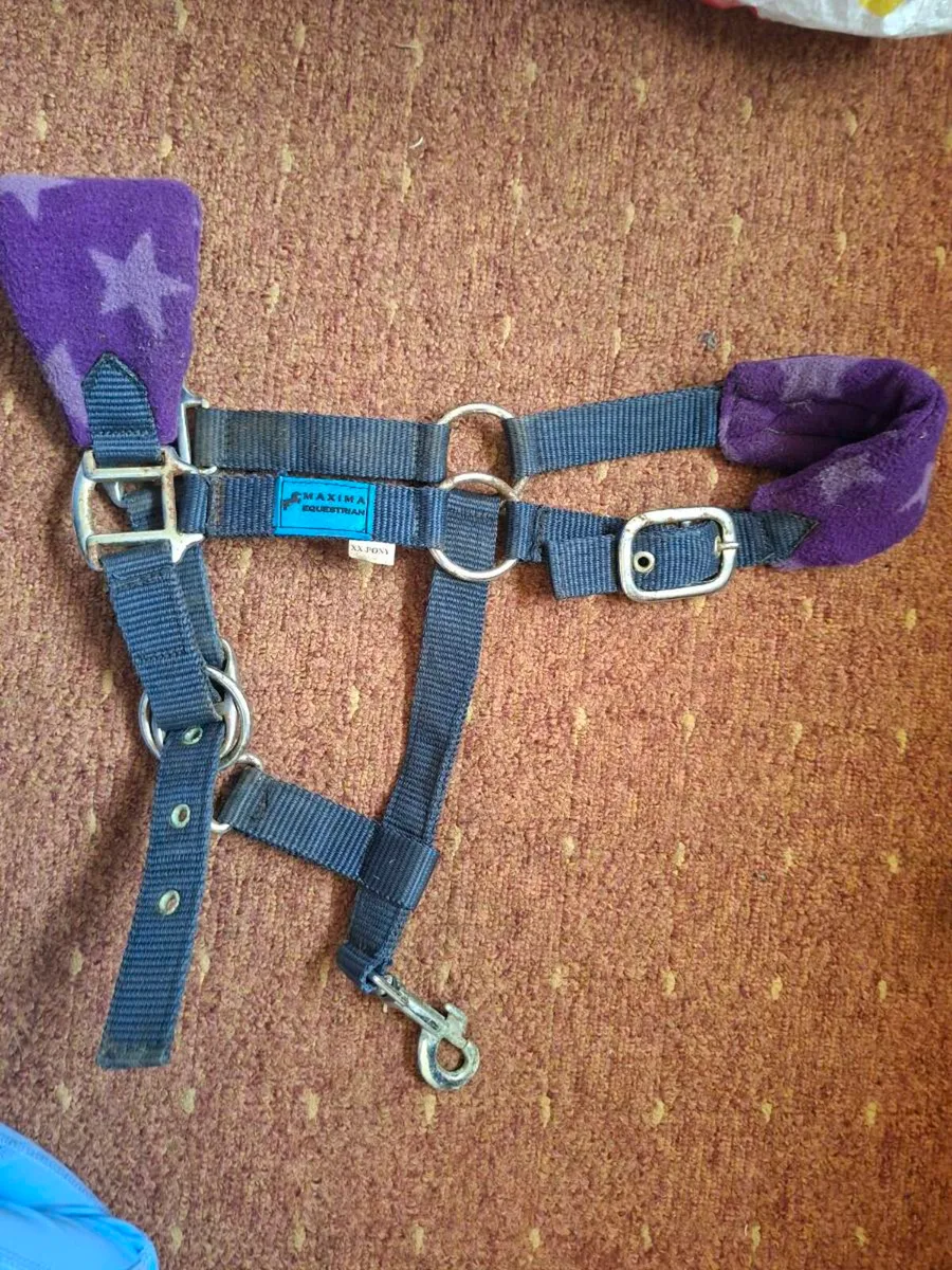 Tackroom clearout - Image 4