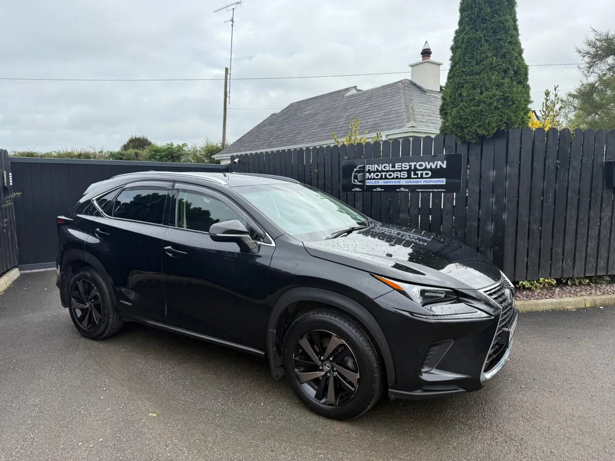 2019 Lexus NX300h S-Design - Image 1
