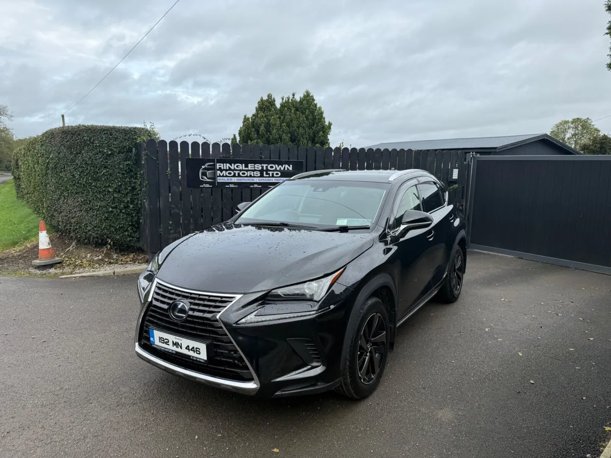 2019 Lexus NX300h S-Design - Image 3