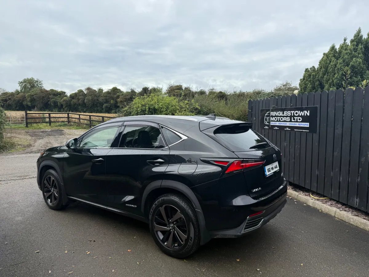 2019 Lexus NX300h S-Design - Image 4
