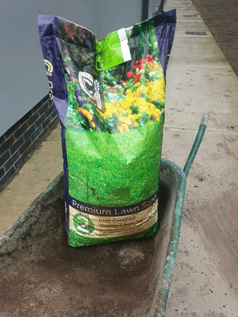 premium lawn seed