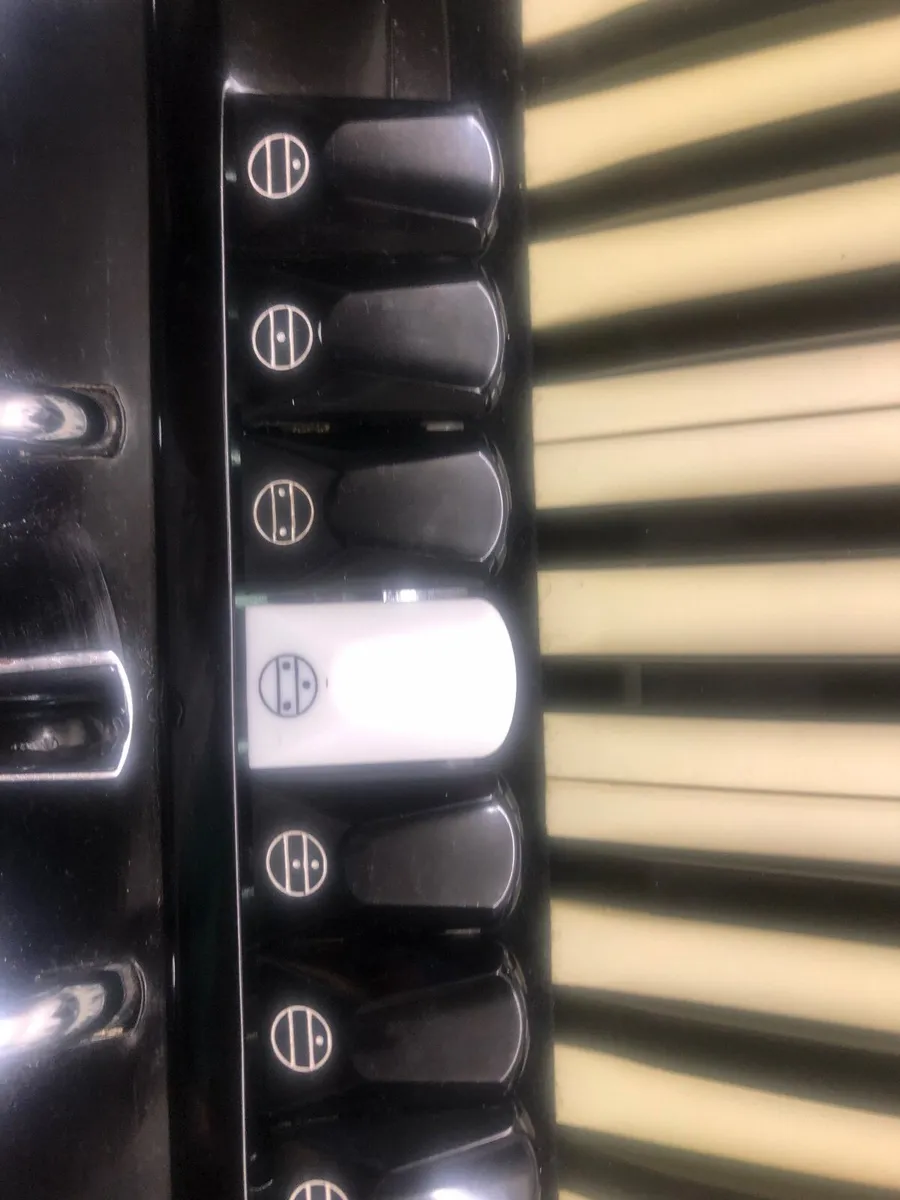 Accordion  parrot polifonico 120 bass top conditio - Image 2