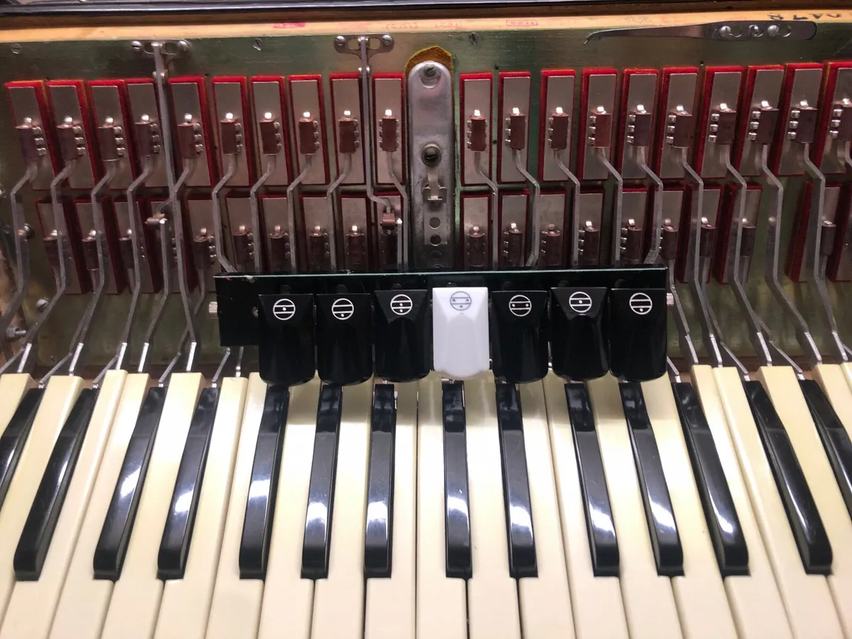 Accordion  parrot polifonico 120 bass top conditio - Image 4