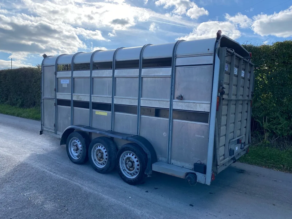 2017 Ifor Williams TA510G (14x6) Livestock Trailer - Image 2