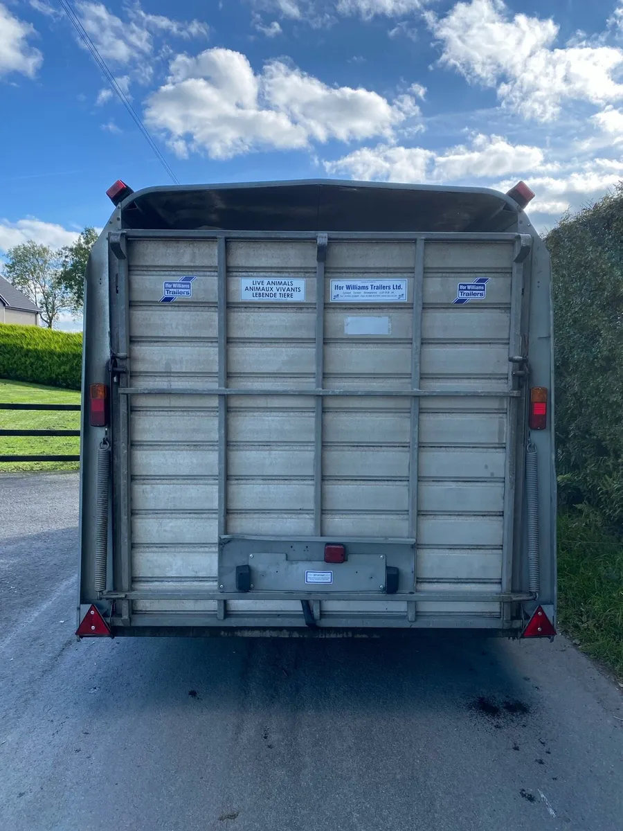 2017 Ifor Williams TA510G (14x6) Livestock Trailer - Image 3