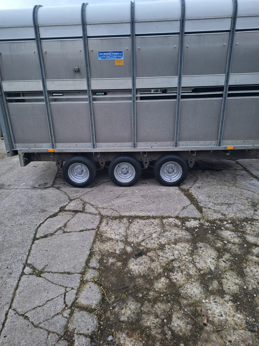 Trailer - Image 2