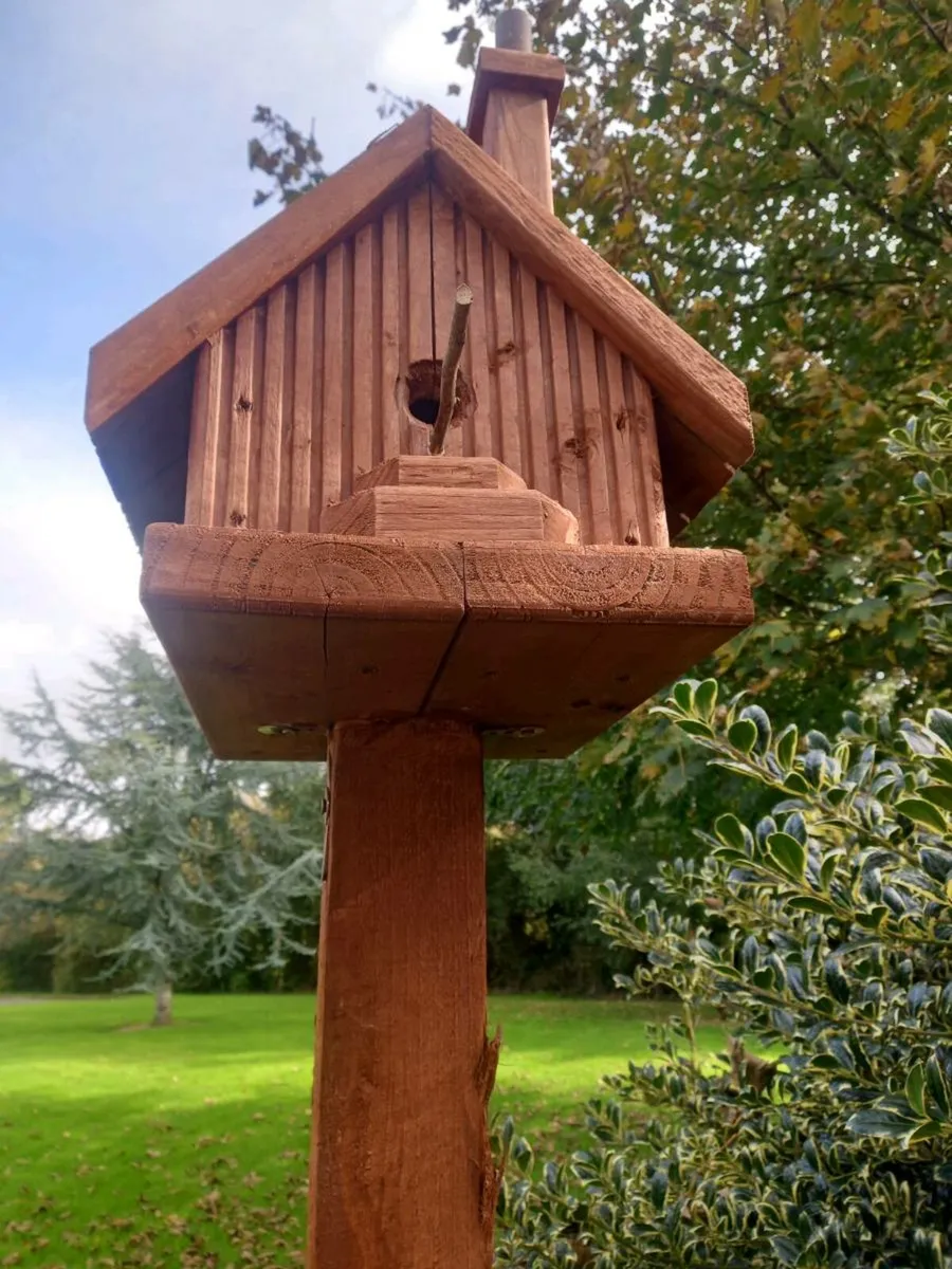 Bird House - Image 3