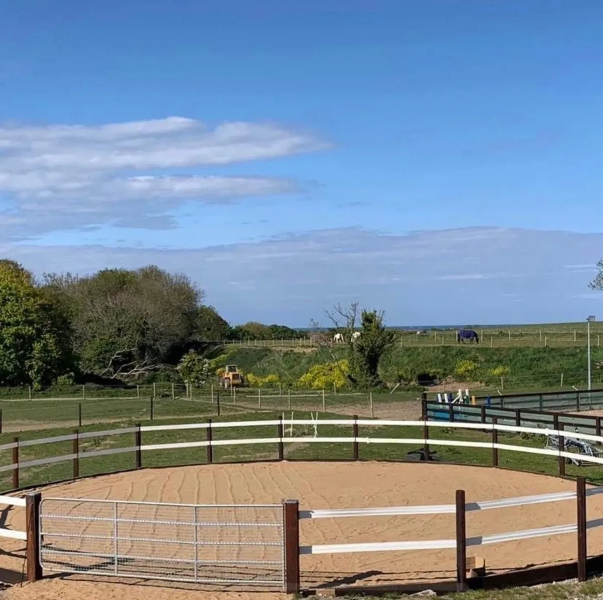 Horse livery - Image 2